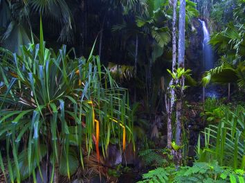 15049-entre-vegetation-luxuriante-et-cascade-d-354x264-1